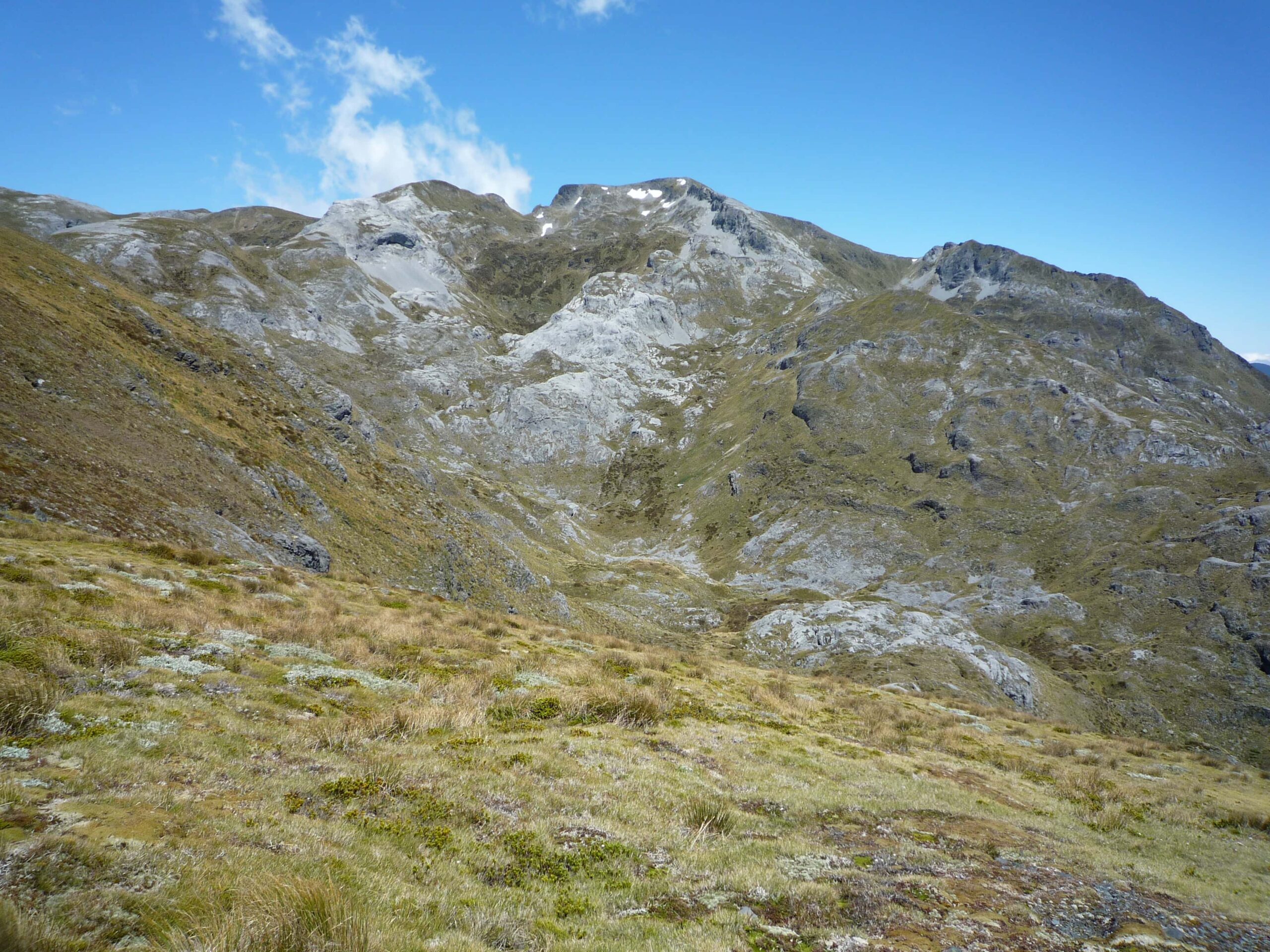 Mt. Arthur-min
