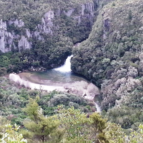 Tieke Falls Waihaha River
